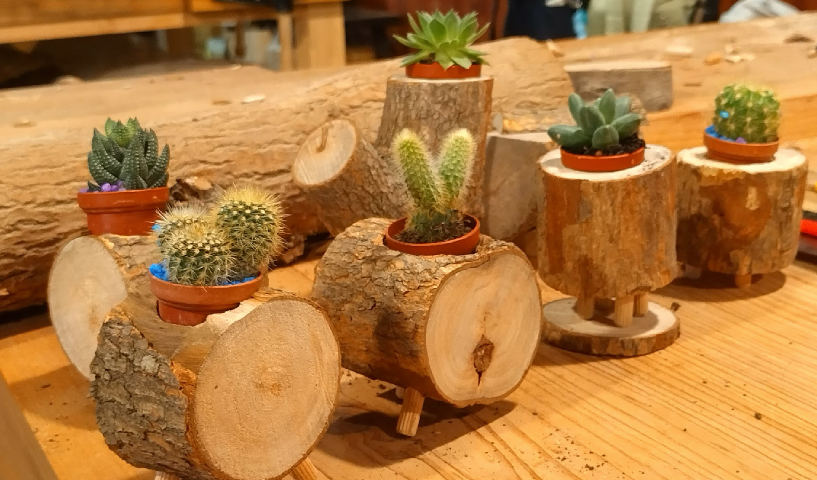 國立臺北教育大學【校園永續木工藝教學實踐計畫】